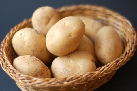 ã¸ã£ã¬ã¤ã¢ãæçì ëí ì´ë¯¸ì§ ê²ìê²°ê³¼