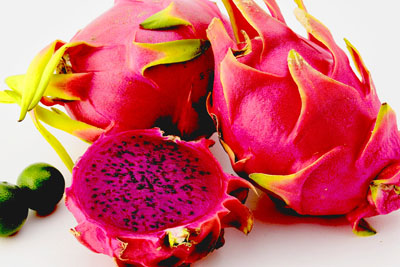 ãã©ã´ã³ãã«ã¼ãì ëí ì´ë¯¸ì§ ê²ìê²°ê³¼