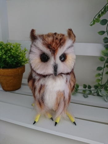 æ¬ç©ã®ããã«ãªã¢ã«ãªãã¯ã­ã¦ãè³ããã£ã¦ããã®ãç¹å¾´ã®ã¦ãµã®ãã¯ã­ã¦ã ããã§ããå³éãªã©ãåèã«ãªãããããã¾ããã­ã