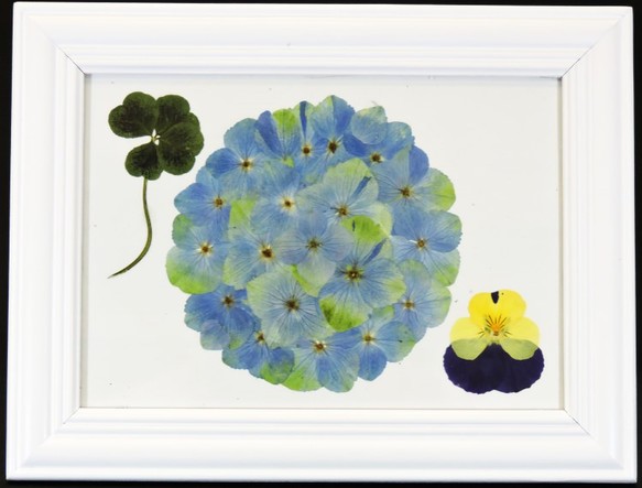 æ¼ãè±ãé¡ç¸ì ëí ì´ë¯¸ì§ ê²ìê²°ê³¼