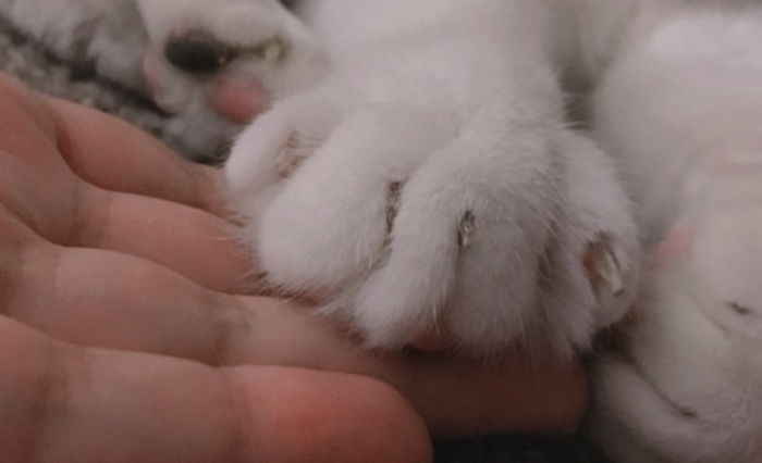 ì¸ì¬ì´í¸