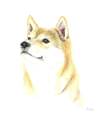 æ°´å½©ç»ãåç©ì ëí ì´ë¯¸ì§ ê²ìê²°ê³¼