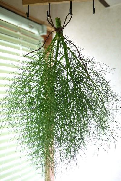 ãã©ã¤ãã¼ãì ëí ì´ë¯¸ì§ ê²ìê²°ê³¼