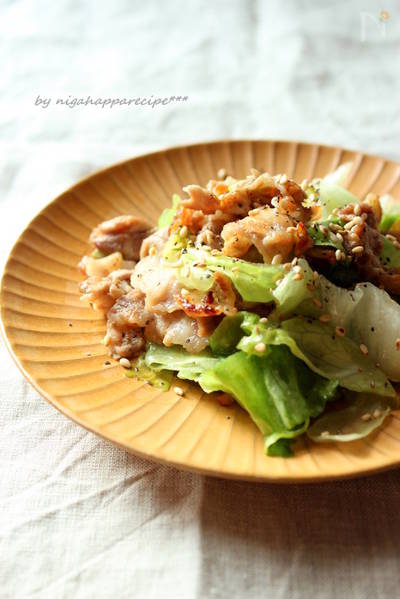 è±èã¨ã¬ã¿ã¹ã®æå­è¡æ¤çãì ëí ì´ë¯¸ì§ ê²ìê²°ê³¼