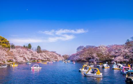 äºã®é å
¬åì ëí ì´ë¯¸ì§ ê²ìê²°ê³¼