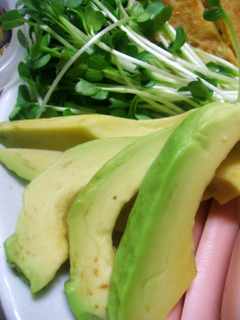 æå·»ãå¯¿å¸ãã¢ãã«ãì ëí ì´ë¯¸ì§ ê²ìê²°ê³¼