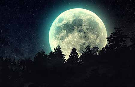 é¡ããå¶ãì ëí ì´ë¯¸ì§ ê²ìê²°ê³¼