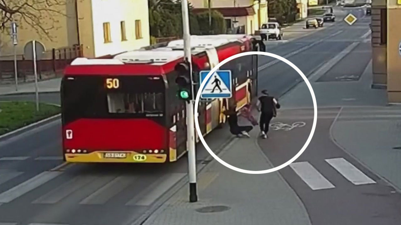 ì¥ë ì¹êµ¬ ì°¨ë ì§ìì ëí ì´ë¯¸ì§ ê²ìê²°ê³¼