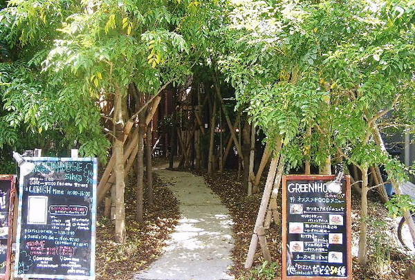 GREEN HOUSE silvaãç¥æ¸ì ëí ì´ë¯¸ì§ ê²ìê²°ê³¼