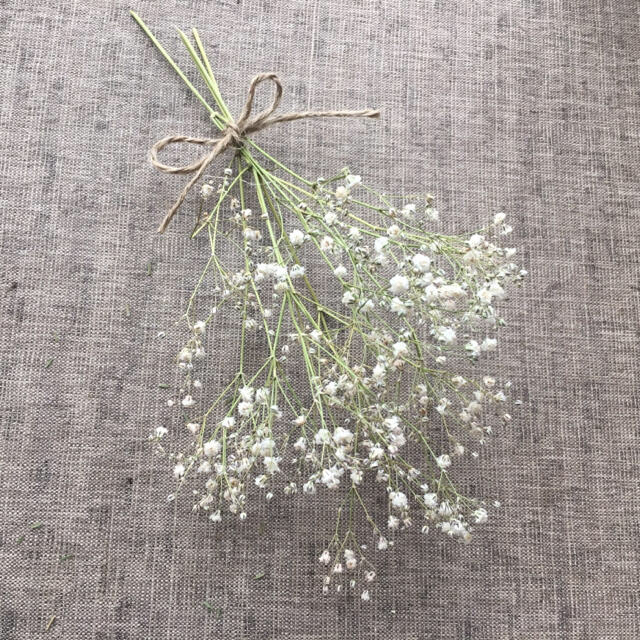 ãã©ã¤ãã©ã¯ã¼ãã«ã¹ãã½ã¦ì ëí ì´ë¯¸ì§ ê²ìê²°ê³¼