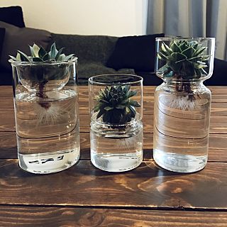 æ°´èæ ½å¹ãããããì ëí ì´ë¯¸ì§ ê²ìê²°ê³¼