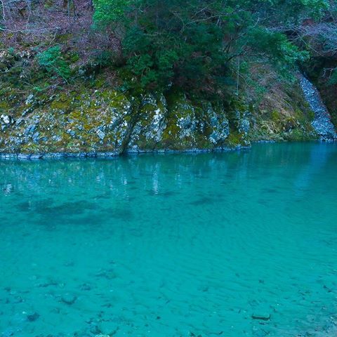 ã¦ã¼ã·ã³æ¸è°· 綺éºì ëí ì´ë¯¸ì§ ê²ìê²°ê³¼