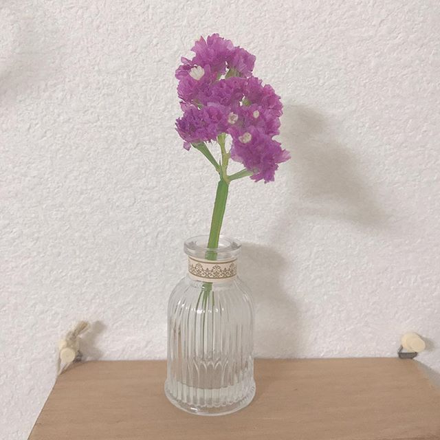 ãã©ã¤ãã©ã¯ã¼ããã©ã¤ã¤ã³ã¦ã©ã¼ã¿ã¼æ³ì ëí ì´ë¯¸ì§ ê²ìê²°ê³¼