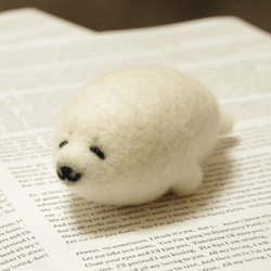 ç¾æ¯ãã§ã«ãì ëí ì´ë¯¸ì§ ê²ìê²°ê³¼