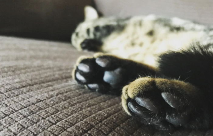 ì¸ì¬ì´í¸