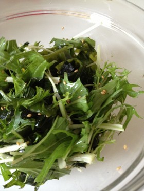 ãããã¨æ°´èã®ãã ã«ì ëí ì´ë¯¸ì§ ê²ìê²°ê³¼