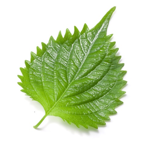 å¤§èì ëí ì´ë¯¸ì§ ê²ìê²°ê³¼