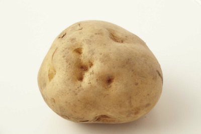 ãããããì ëí ì´ë¯¸ì§ ê²ìê²°ê³¼