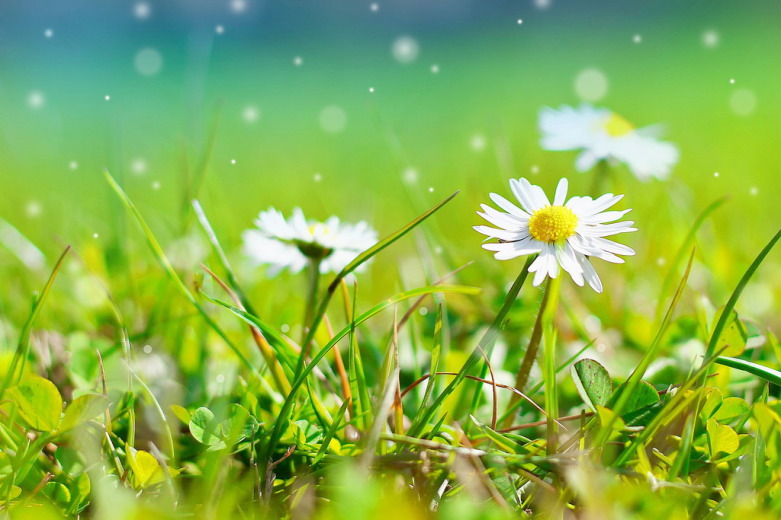 è±è¨èì ëí ì´ë¯¸ì§ ê²ìê²°ê³¼