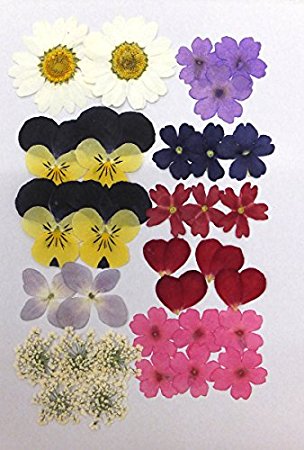 æ¼ãè±ì ëí ì´ë¯¸ì§ ê²ìê²°ê³¼