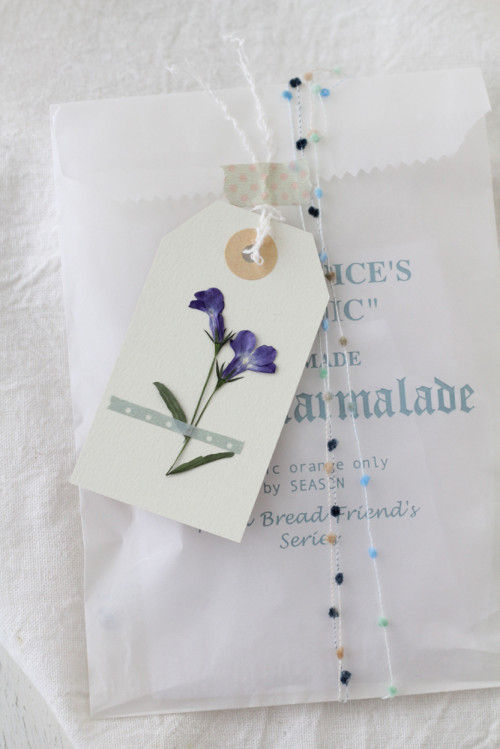 æ¼ãè±ãã¿ã°ì ëí ì´ë¯¸ì§ ê²ìê²°ê³¼