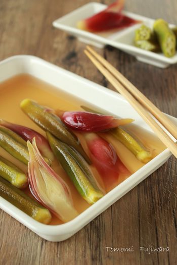 ãã¼ãã¼ããã¤ã¾ã¿ãã¯ã«ã¹ì ëí ì´ë¯¸ì§ ê²ìê²°ê³¼