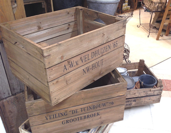 ããã¥ã©ã«ã¬ã¼ããã³ã°ããããããã¯ã¹ì ëí ì´ë¯¸ì§ ê²ìê²°ê³¼