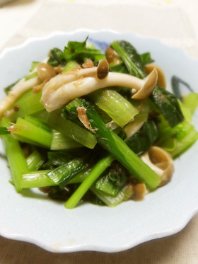 å°æ¾èããã²ããì ëí ì´ë¯¸ì§ ê²ìê²°ê³¼