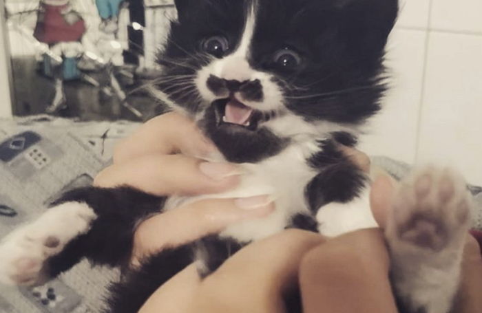 ì¸ì¬ì´í¸