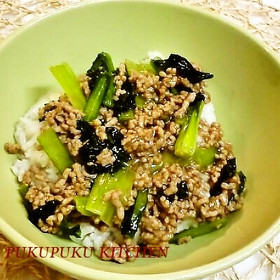 å°æ¾èãã¼ãì ëí ì´ë¯¸ì§ ê²ìê²°ê³¼