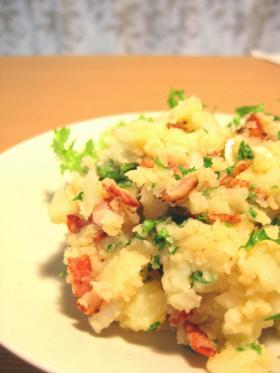 ç½ã¯ã¤ã³ããã¬ã¼ã®ããããµã©ãì ëí ì´ë¯¸ì§ ê²ìê²°ê³¼