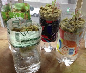 æ°´èæ ½å¹ããããããã«ì ëí ì´ë¯¸ì§ ê²ìê²°ê³¼