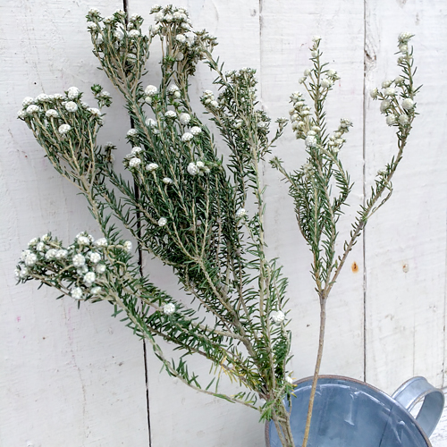 ãã©ã¤ãã©ã¯ã¼ããã¼ãì ëí ì´ë¯¸ì§ ê²ìê²°ê³¼