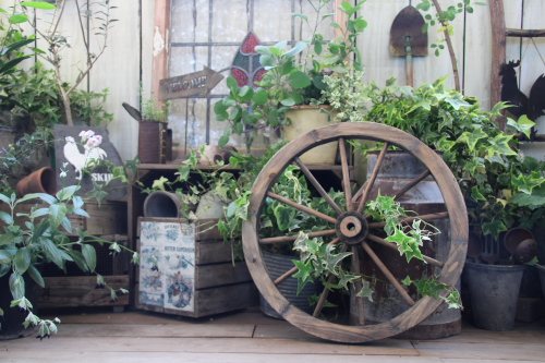 ããã¥ã©ã«ã¬ã¼ããã³ã°ãè»è¼ªì ëí ì´ë¯¸ì§ ê²ìê²°ê³¼