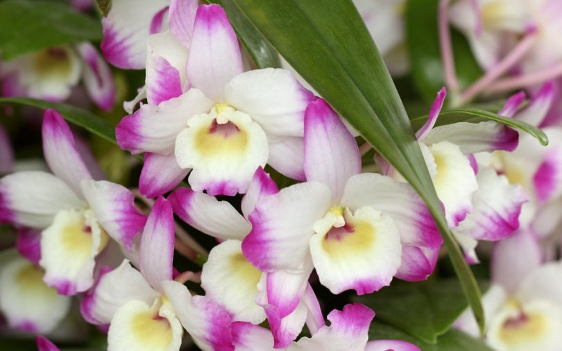 è±è¨èãì ëí ì´ë¯¸ì§ ê²ìê²°ê³¼