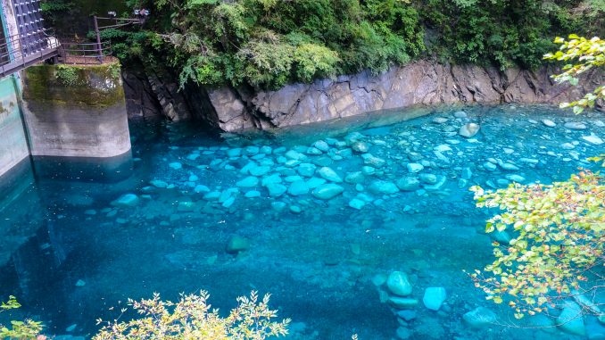 ã¦ã¼ã·ã³ãã«ã¼ì ëí ì´ë¯¸ì§ ê²ìê²°ê³¼