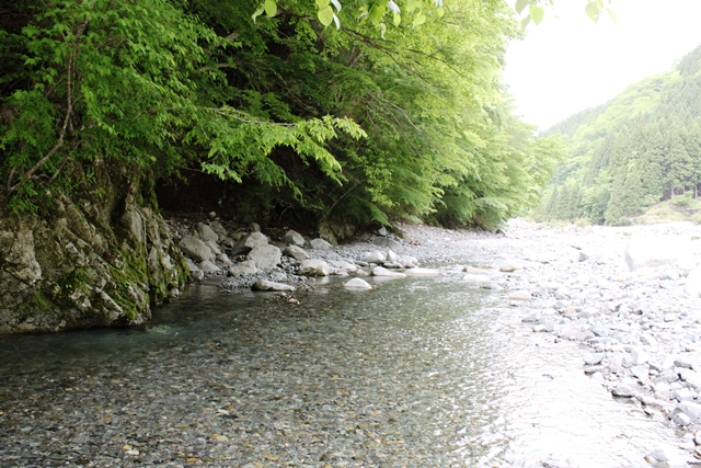 çåãäººå£ã®å·ì ëí ì´ë¯¸ì§ ê²ìê²°ê³¼