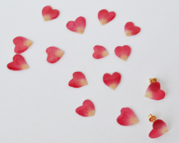 ãã©ã®è±ã³ããæ¨¹èã³ã¼ãã£ã¤ã³ã°ãã¦ä½ããããã¢ã¹ã§ãã ãã¼ãåã¨èªç¶ãªã°ã©ãã¼ã·ã§ã³ã«ã©ã¼ãã大人ããã¥ã©ã«ãªæè£
ã¨ãããããããã§ãã