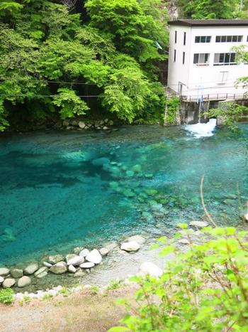 ãã®å¥¥ã«ããã®ããçå第äºçºé»æãå¾è·¯ã®ã³ã¼ã¹ã®çµç¹ã§ããããããæãè¿ãã¦ãå¾å¾©ç´13ããã§ãã