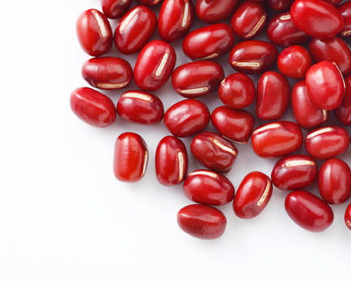 ãããì ëí ì´ë¯¸ì§ ê²ìê²°ê³¼