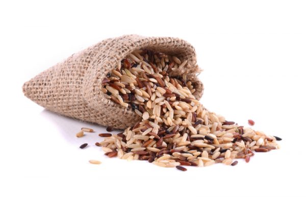 çç±³ã«ã¤ãã¨æ®éã®ã«ã¤ãì ëí ì´ë¯¸ì§ ê²ìê²°ê³¼