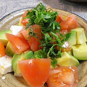 ã¢ãã«ãããªãã大èì ëí ì´ë¯¸ì§ ê²ìê²°ê³¼