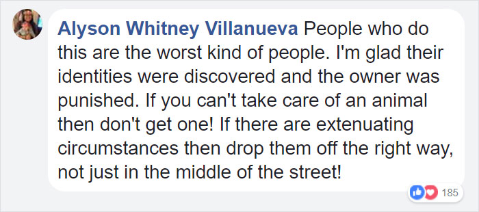 confronted-woman-abandoned-dogs-texas-32