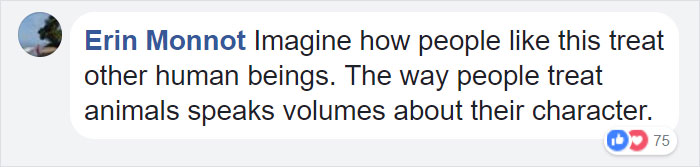 confronted-woman-abandoned-dogs-texas-36