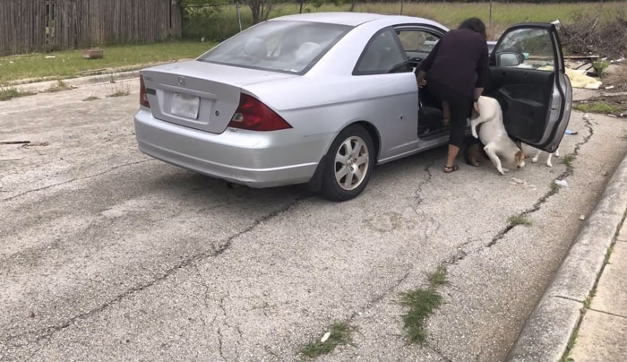 confronted-woman-abandoned-dogs-texas-40