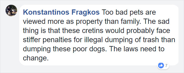 confronted-woman-abandoned-dogs-texas-46