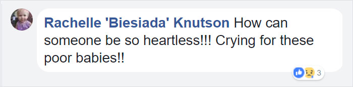 confronted-woman-abandoned-dogs-texas-47