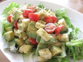 ã¢ãã«ãã¨ã«ãã³ãã¼ã«ãã¼ãºã®ãµã©ãì ëí ì´ë¯¸ì§ ê²ìê²°ê³¼