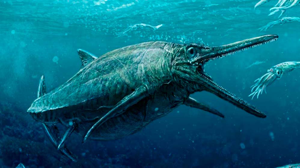 Resultado de imagen para gigante marino