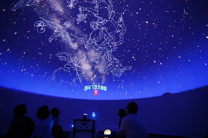 ãã©ãã¿ãªã¦ã ì ëí ì´ë¯¸ì§ ê²ìê²°ê³¼